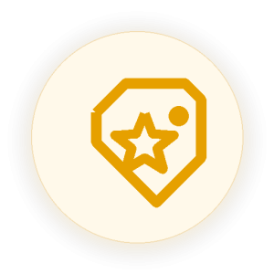 branded tag star icon