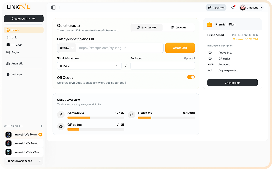LinkPul branded links dashboard preview